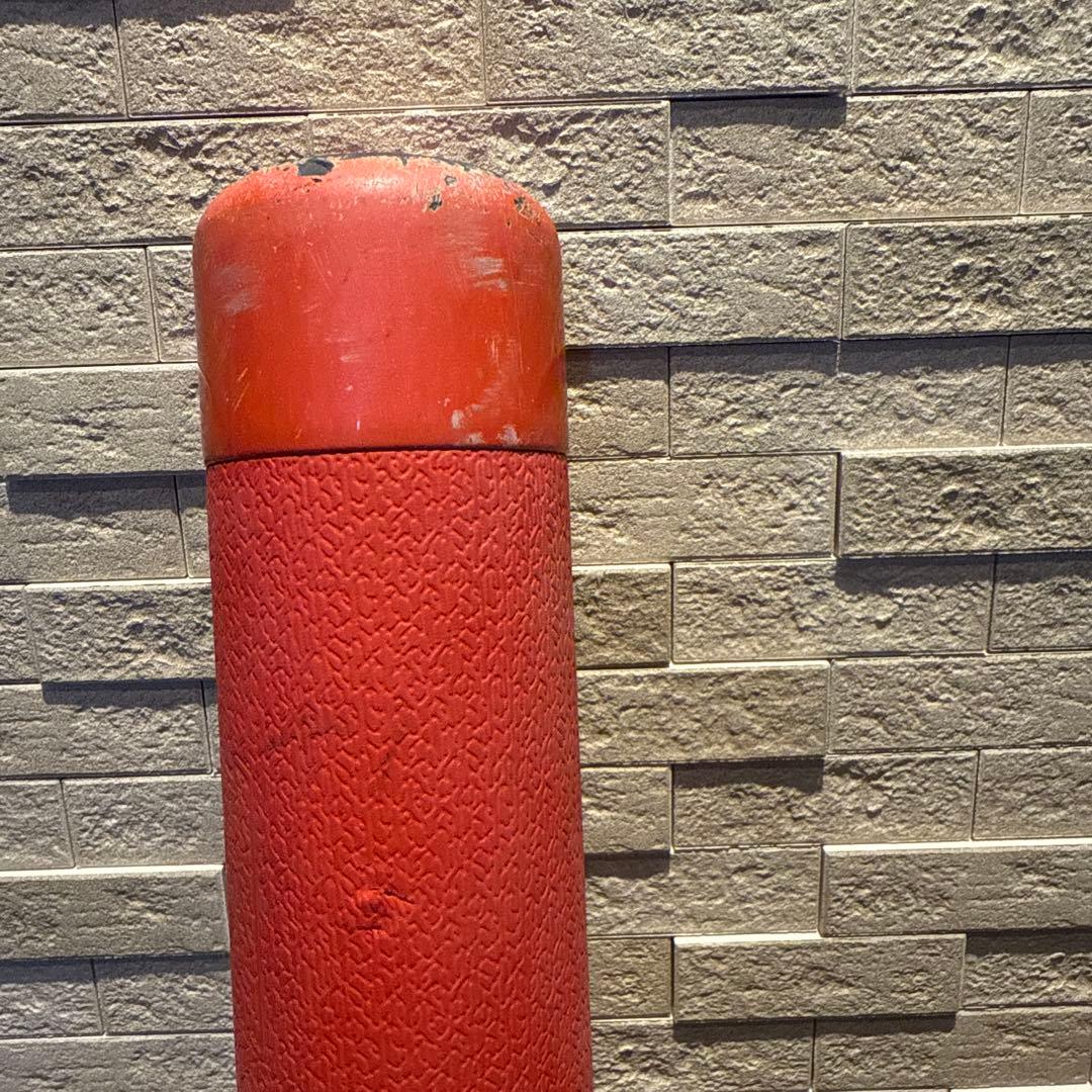 ビヨンドマックスEV ⅡN