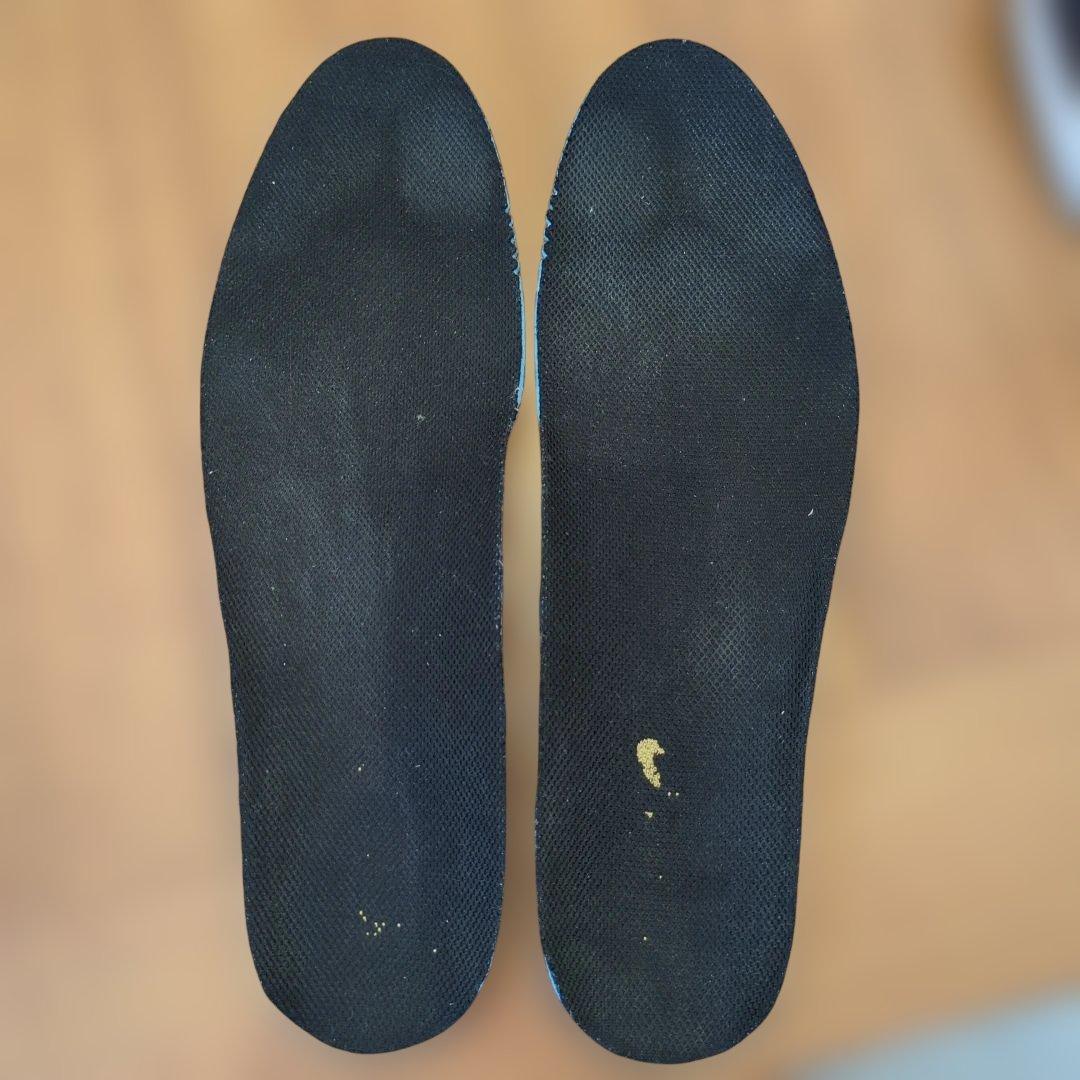 法政大学　アシックス　トレーニングシューズ　非売品　28.5