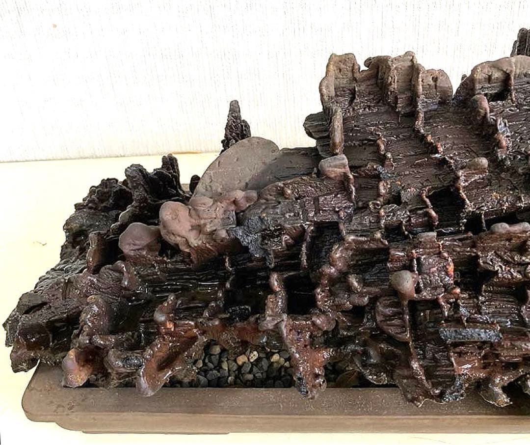 溶岩流[稀少品]観賞用・アクアリウム用