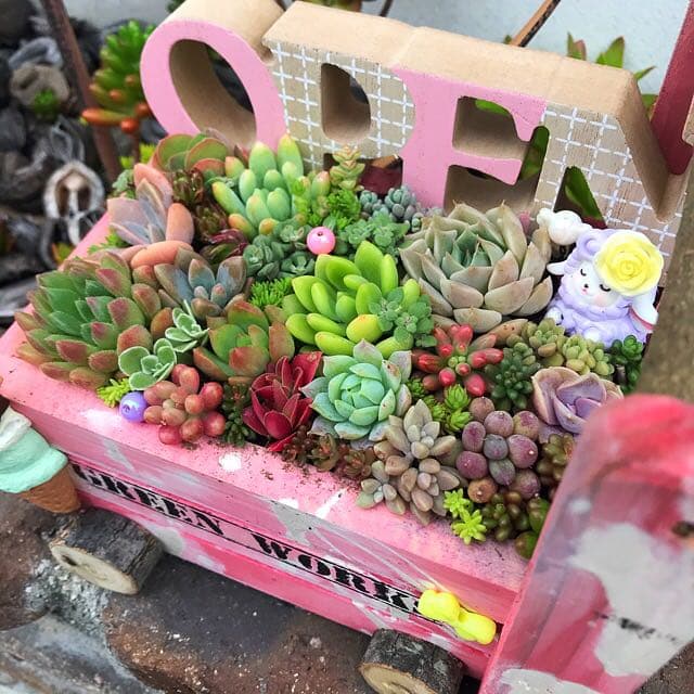 ★多肉植物　寄せ植え〜手作り　木製手押しカート　アイスクリーム屋さん〜★