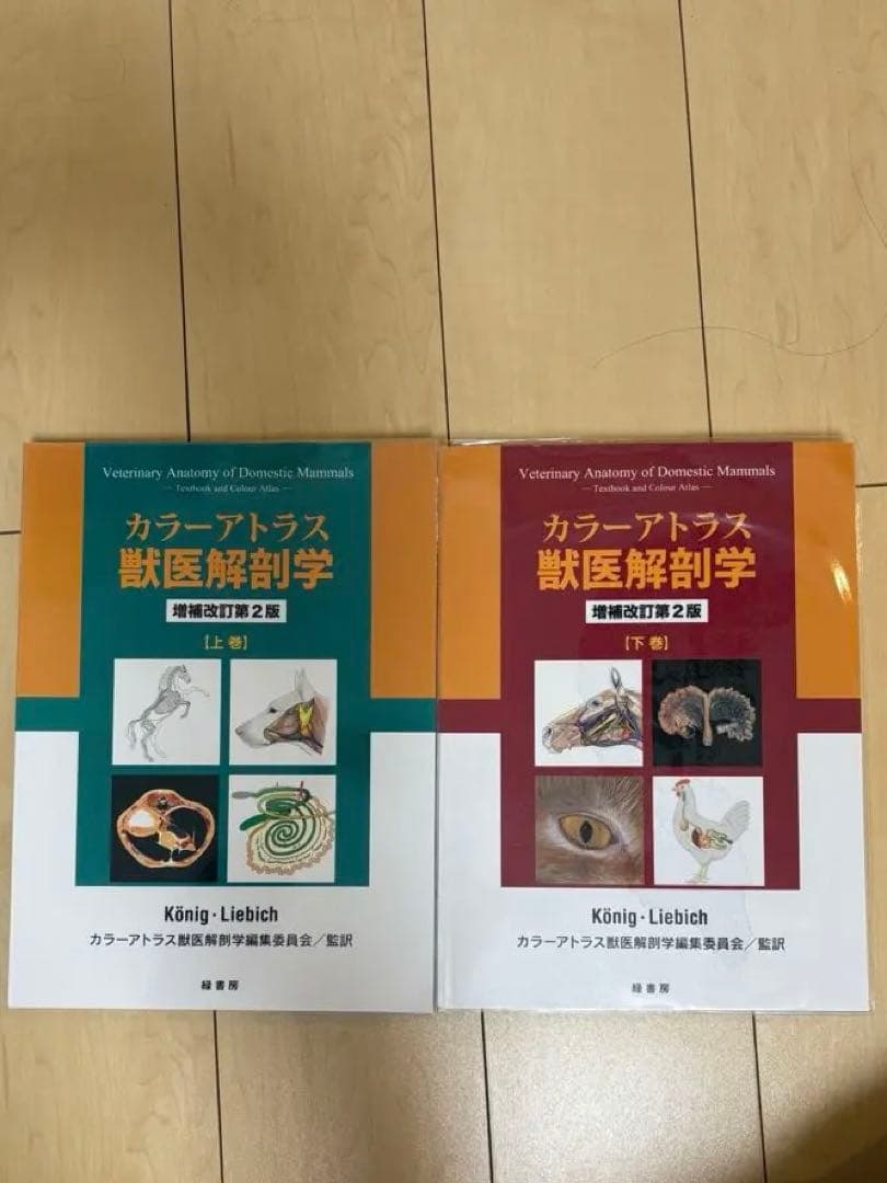 カラーアトラス獣医解剖学 上巻、下巻セット