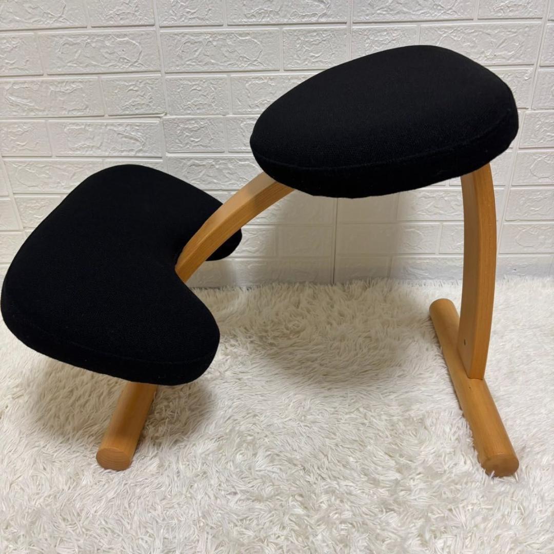 【美品】バランスチェア　イージー　リボ社　ブラック