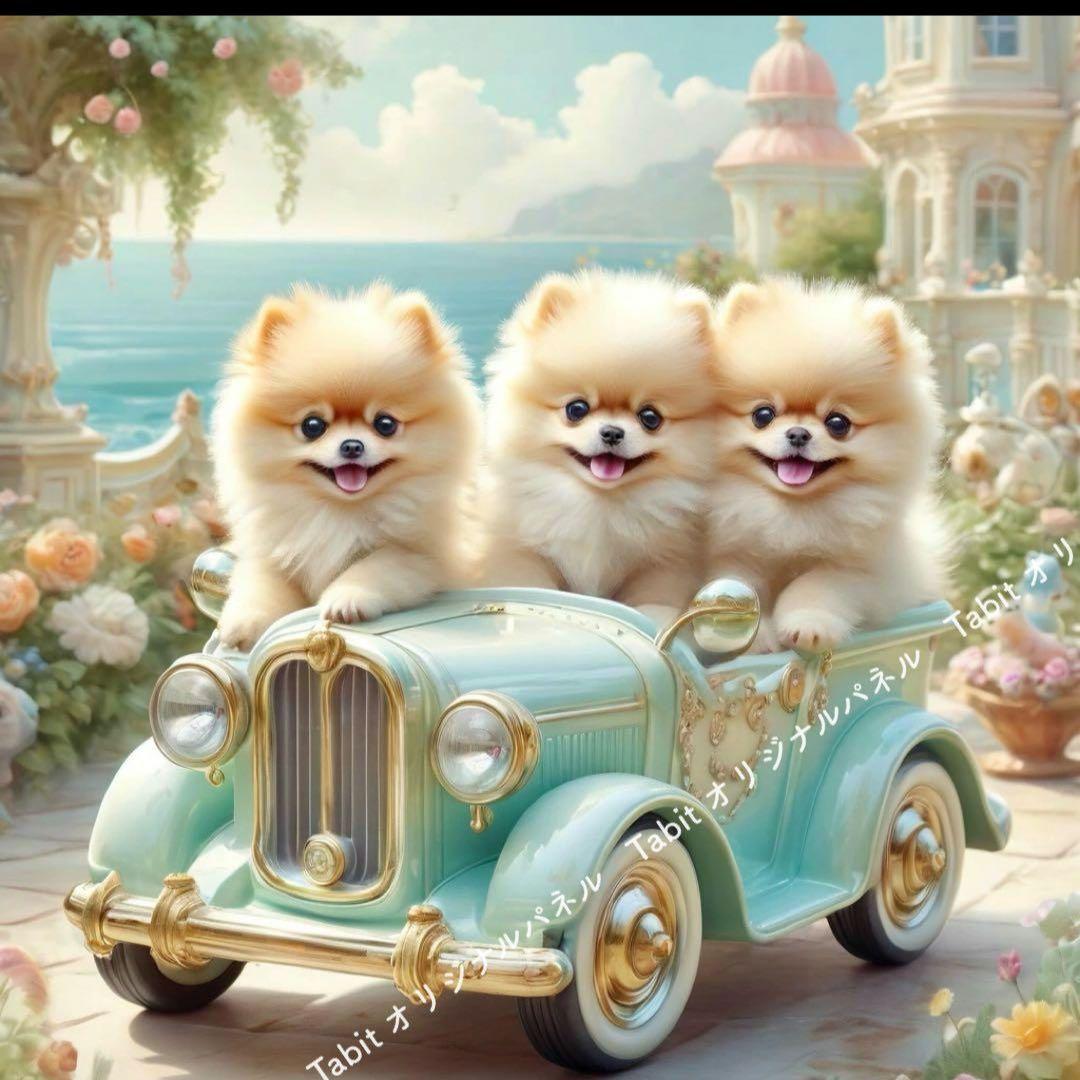 可愛いポメラニアンパネル生地　ハンドメイド