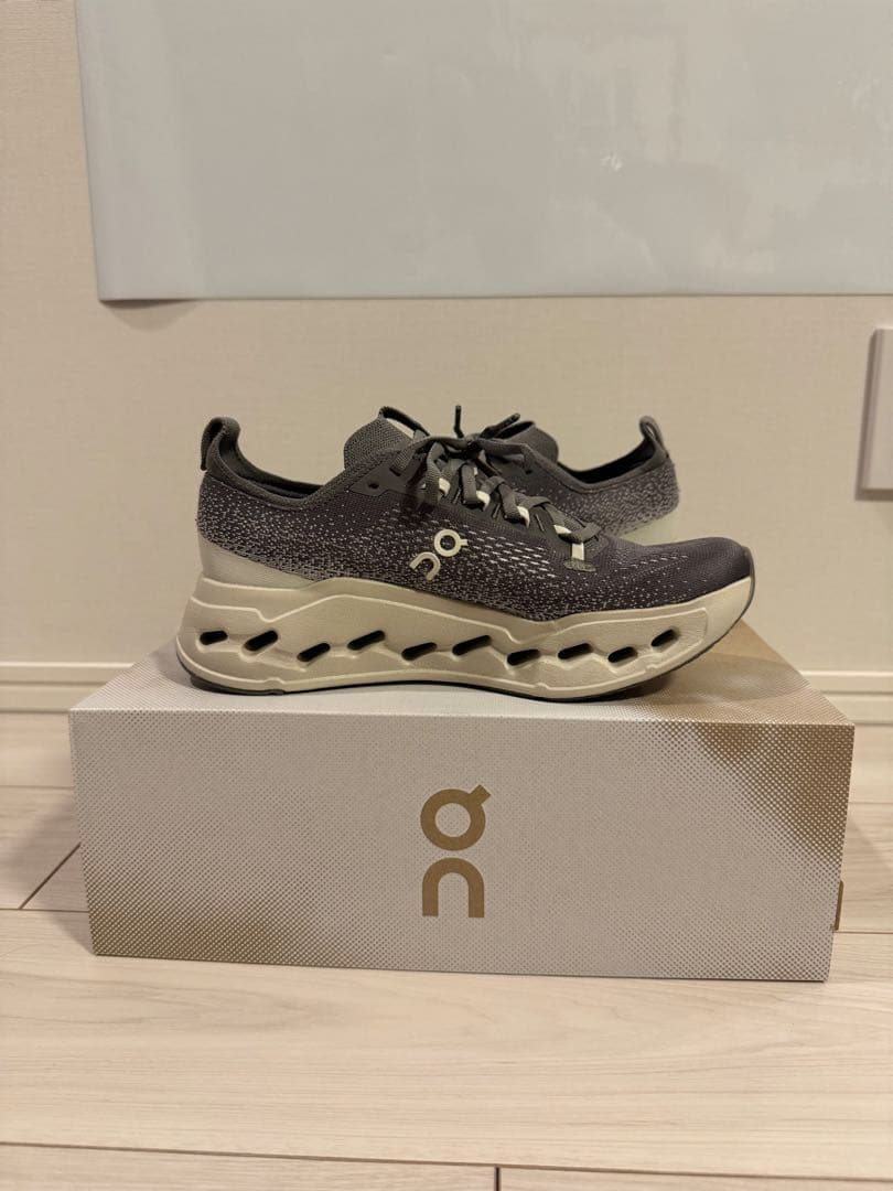 t*i様 On Cloudsurfer Max Asphalt/Ice US8