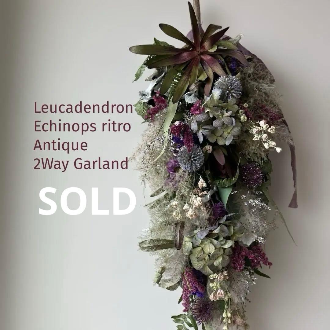 リューカデンドロンとルリタマアザミのアンティークな2Wayガーランド 紫陽花