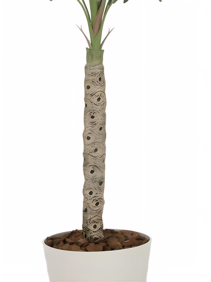 光触媒　人工観葉植物　ウォールグリーン　フェイクグリーン　セローム1.8m