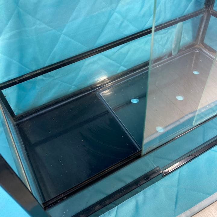 爬虫類　ゲージなど全てセット