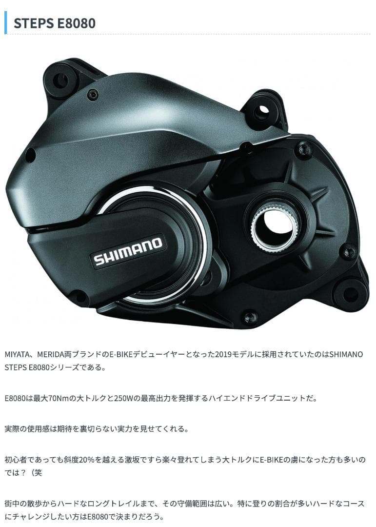 srss MIYATA CRUISE E8080 定価29万円