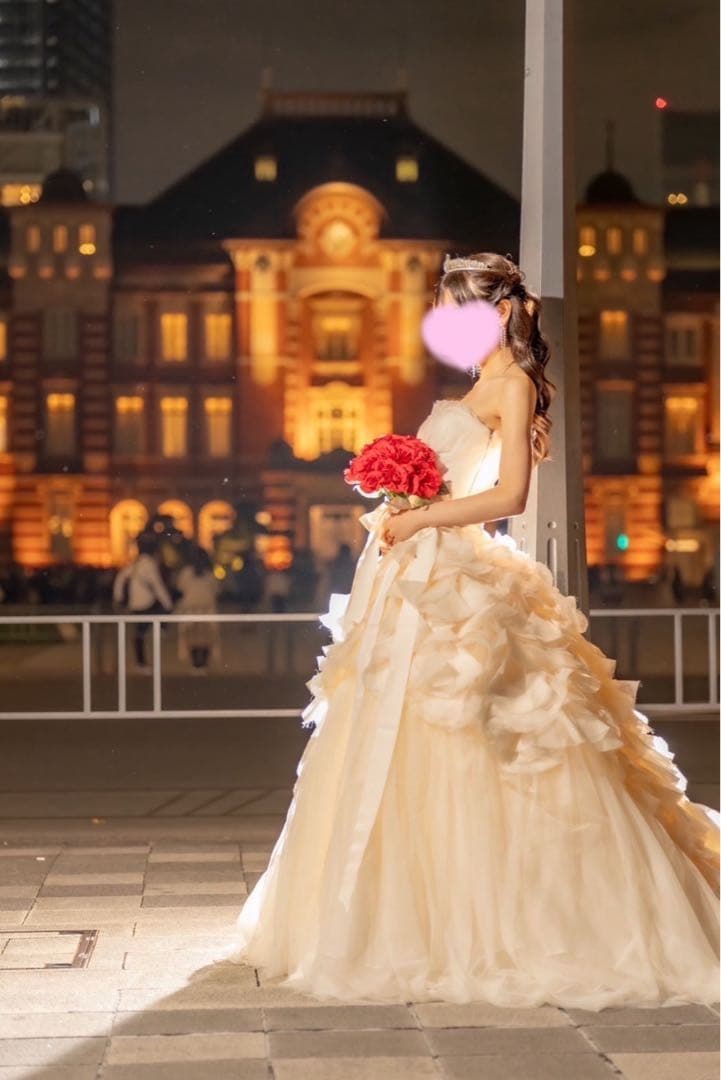 前撮りなどに　VERA WANG ヘイリー　ホワイト　ウェディングドレス US0