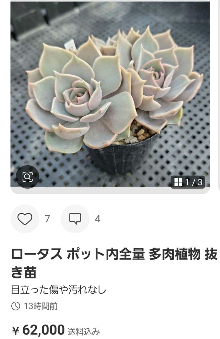 mi様ご確認用