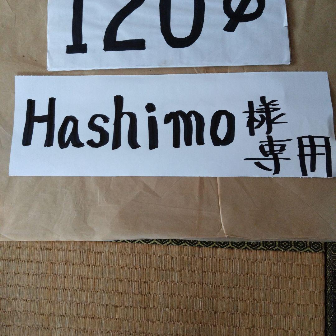 Hashimo径120mm煙突セット