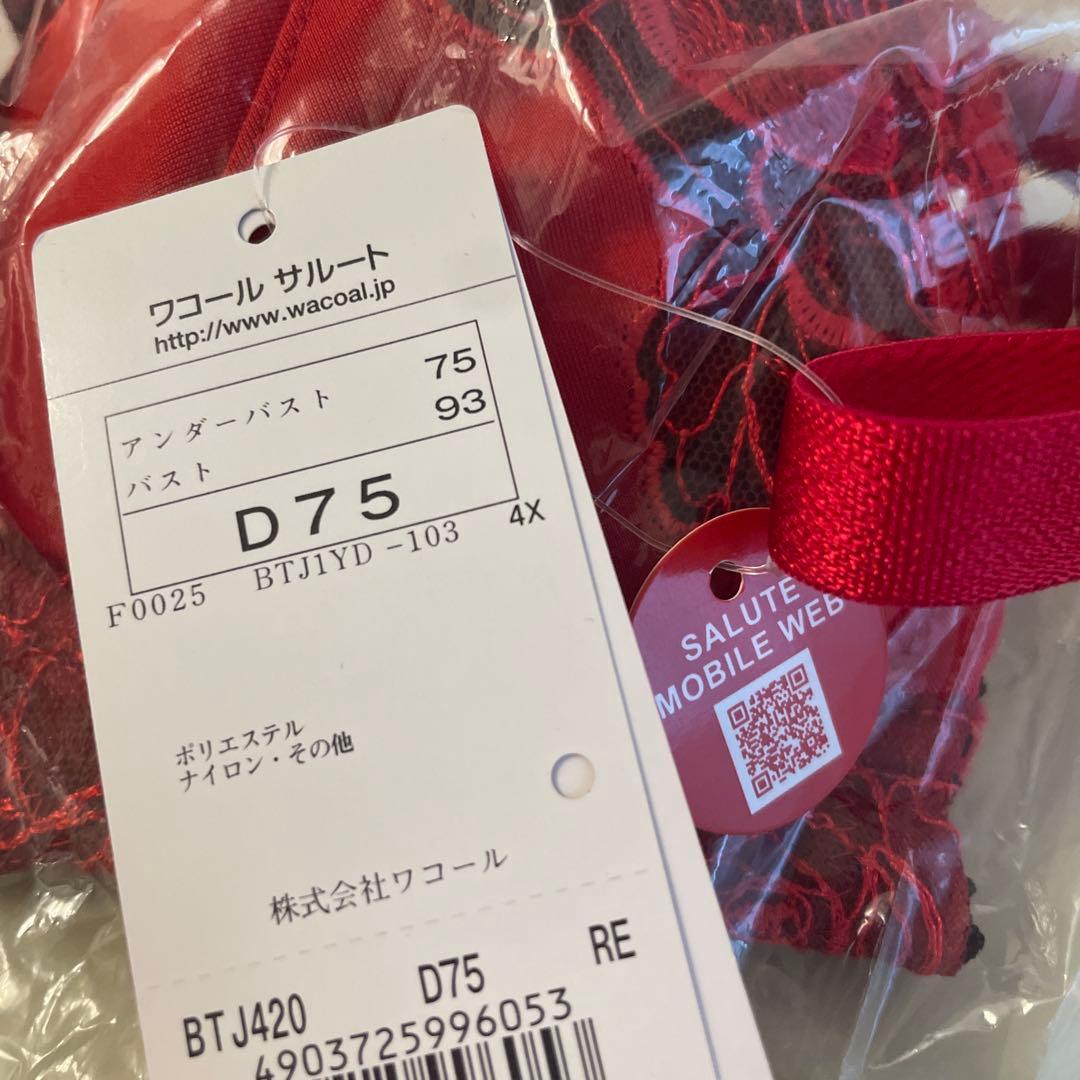 専用 サルート 旧20G D75/M ムーランルージュ RE