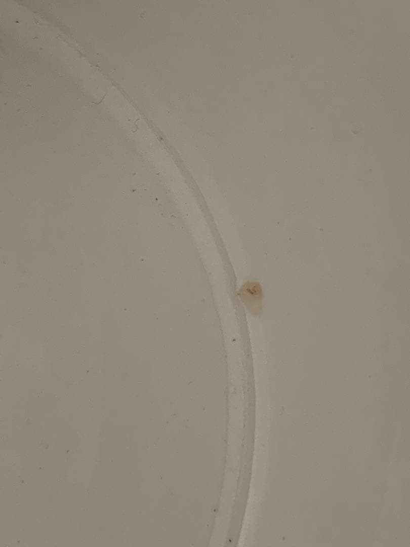  マリアンヌウェストマンの玉ねぎのキャニスター