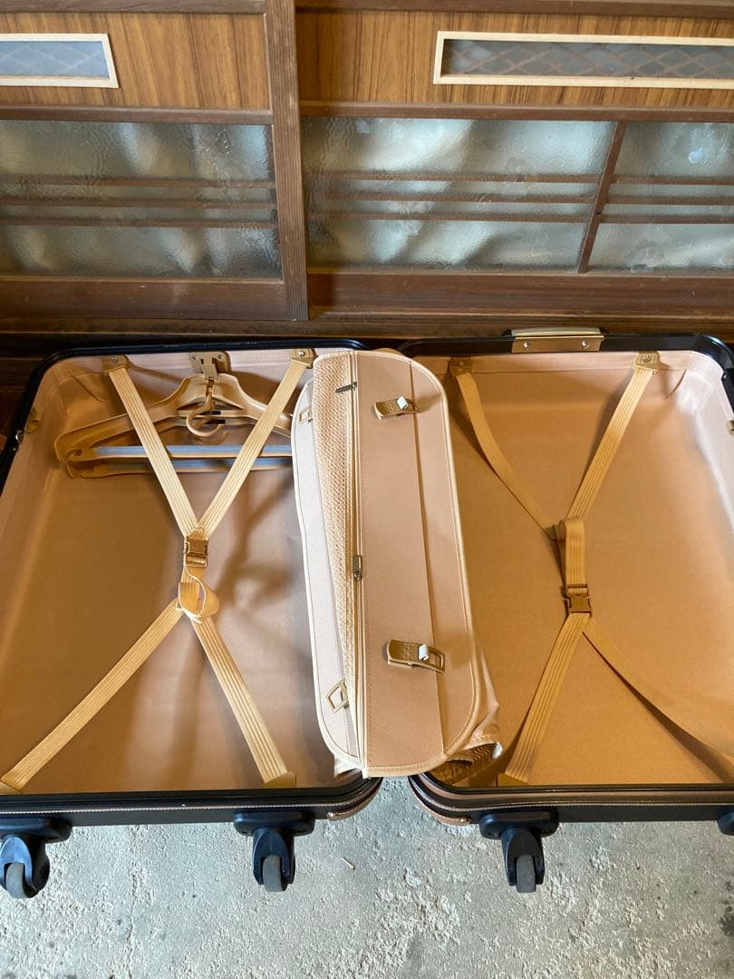 エースプロテカGENIO TL 80L◆