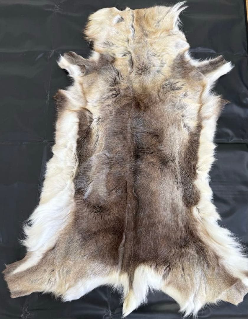 【新品未使用】トナカイ毛皮　フィンランド製