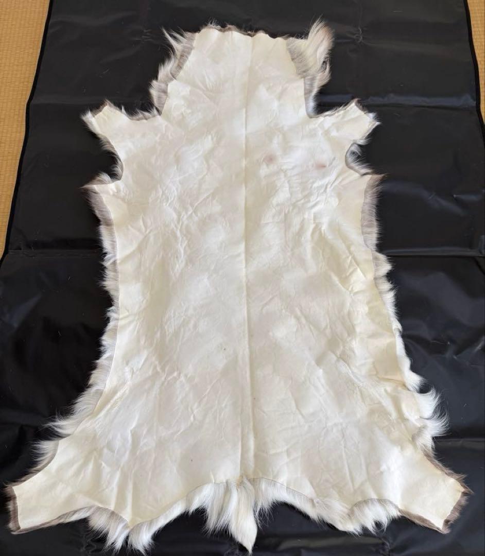 【新品未使用】トナカイ毛皮　フィンランド製