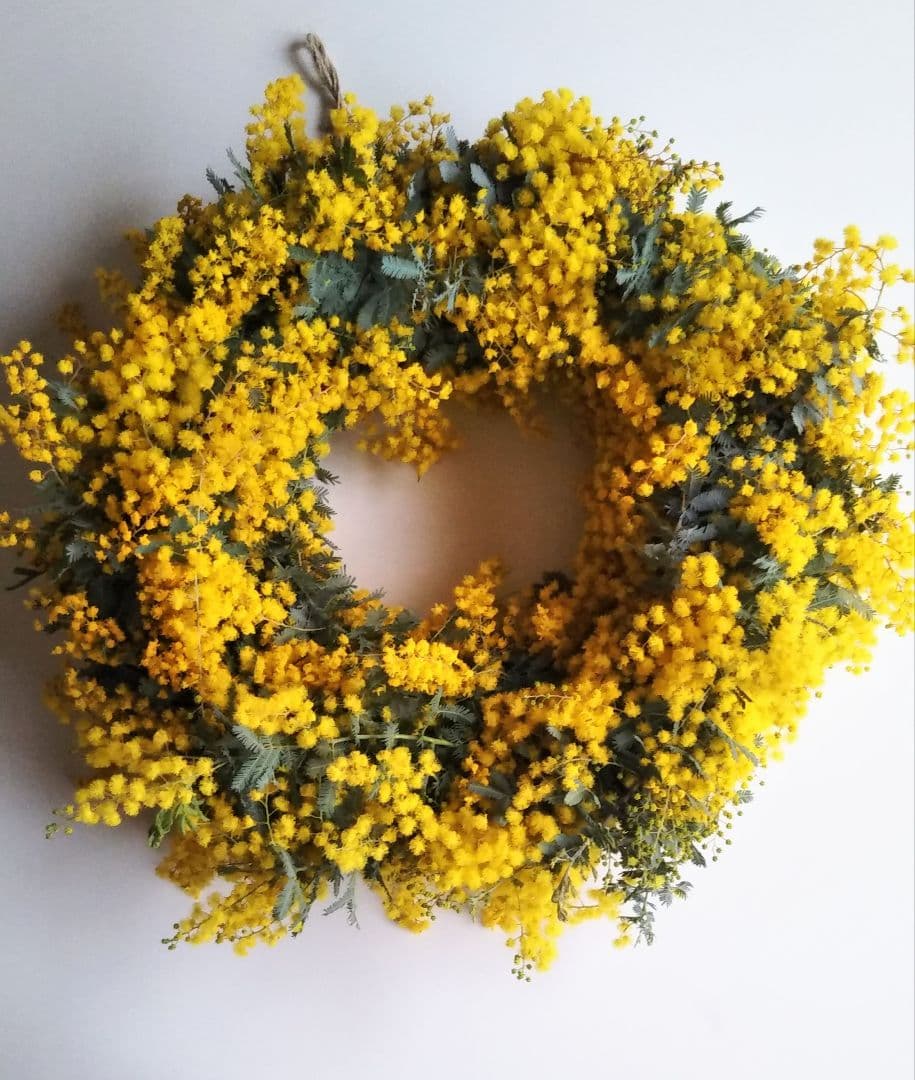 R&Bページ　☘ミモザフレッシュスワッグ・リース☘　②・③