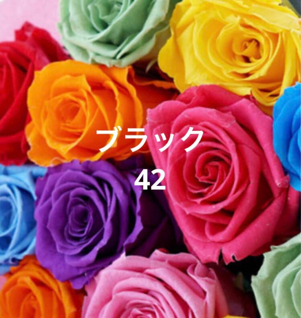 新品タグ付【'S MAX MARA】42ESTURIAクチートアマーノ　ブラック