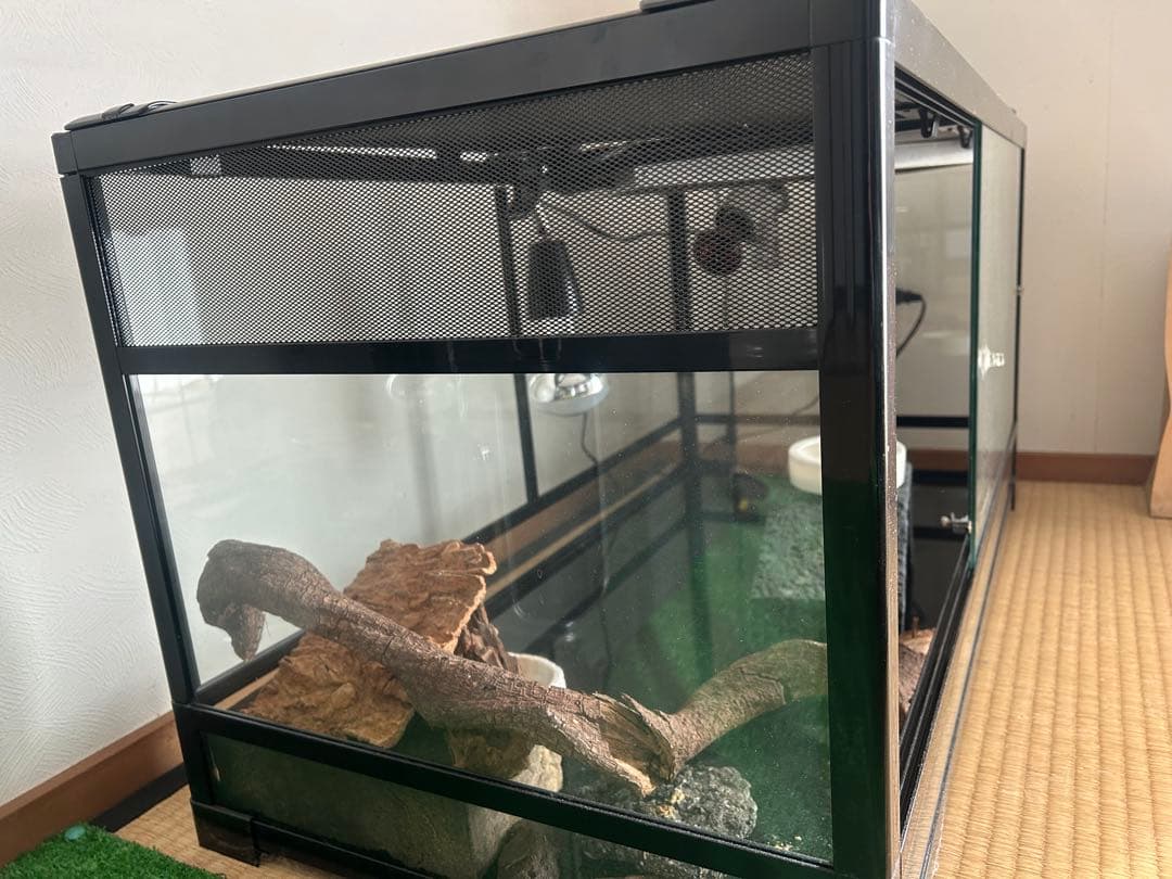 大型ガラス飼育ケージ UVB・ヒーターライト付き　引き取り限定