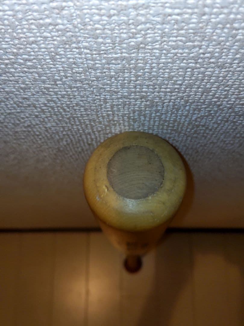 中日ドラゴンズ　渡邉博幸　NPB　硬式　支給品　サイン入りバット