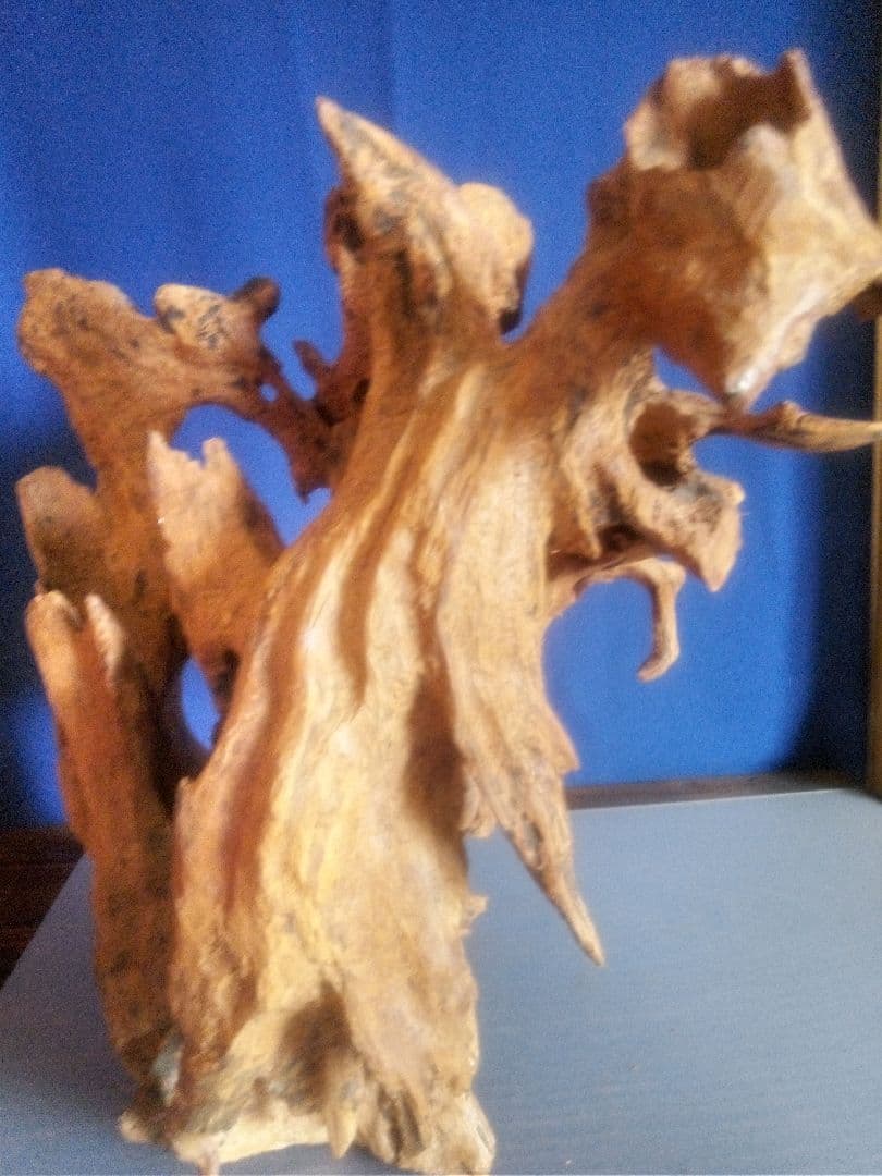 工芸品　　木の根のオブジェ