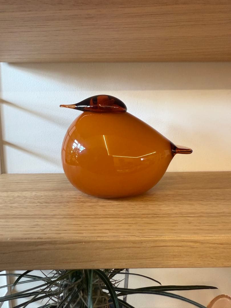 イッタラ　クーラス　セビリアオレンジ