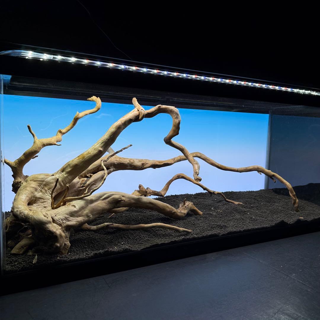 MDW-7235ブランチウッドレイアウトセット　90cm水槽用流木セット　枝流木