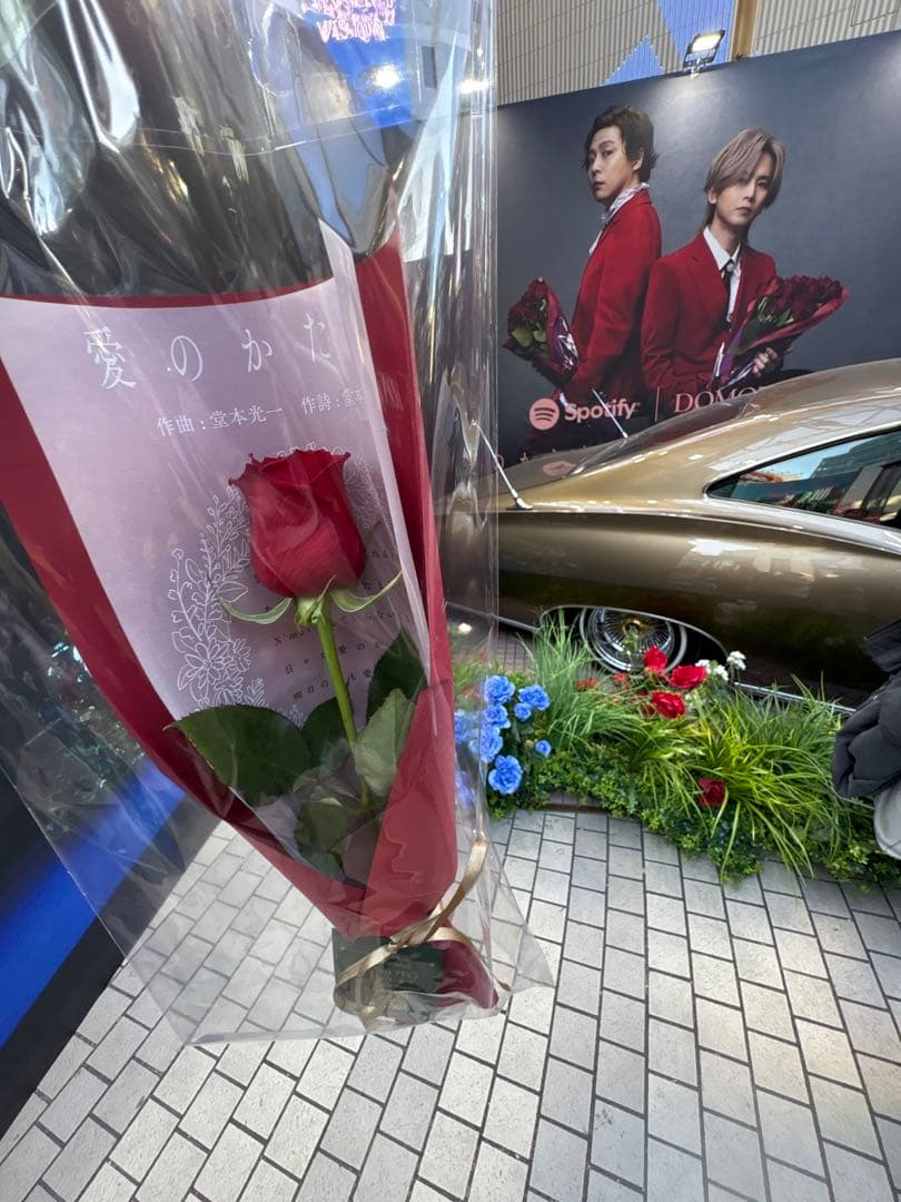 DOMOTO POP-UPイベント配布品　薔薇　バラ