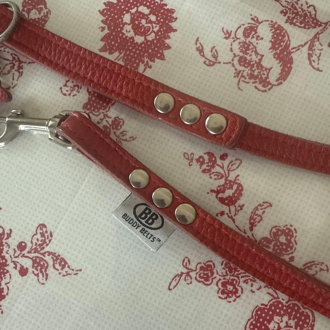 バディベルト✴︎ハーネス、リードセット