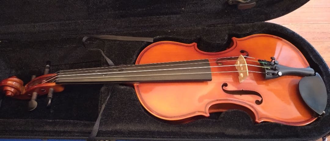 カルロ・ジョルダーノ 分数バイオリン 1/4