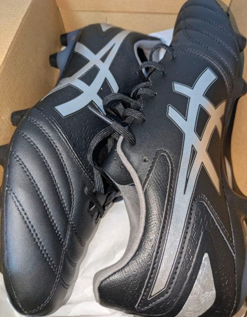 ASICS DS LIGHT 29cm ブラック/シルバー