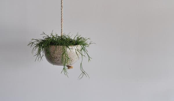 【新品未使用】完売品　KAT&ROGER ハンギングプランター フラワーポット