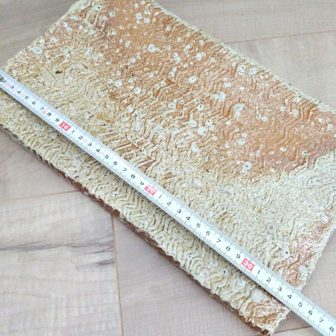 レア 岡見周二 周陶房 山梨県 皿