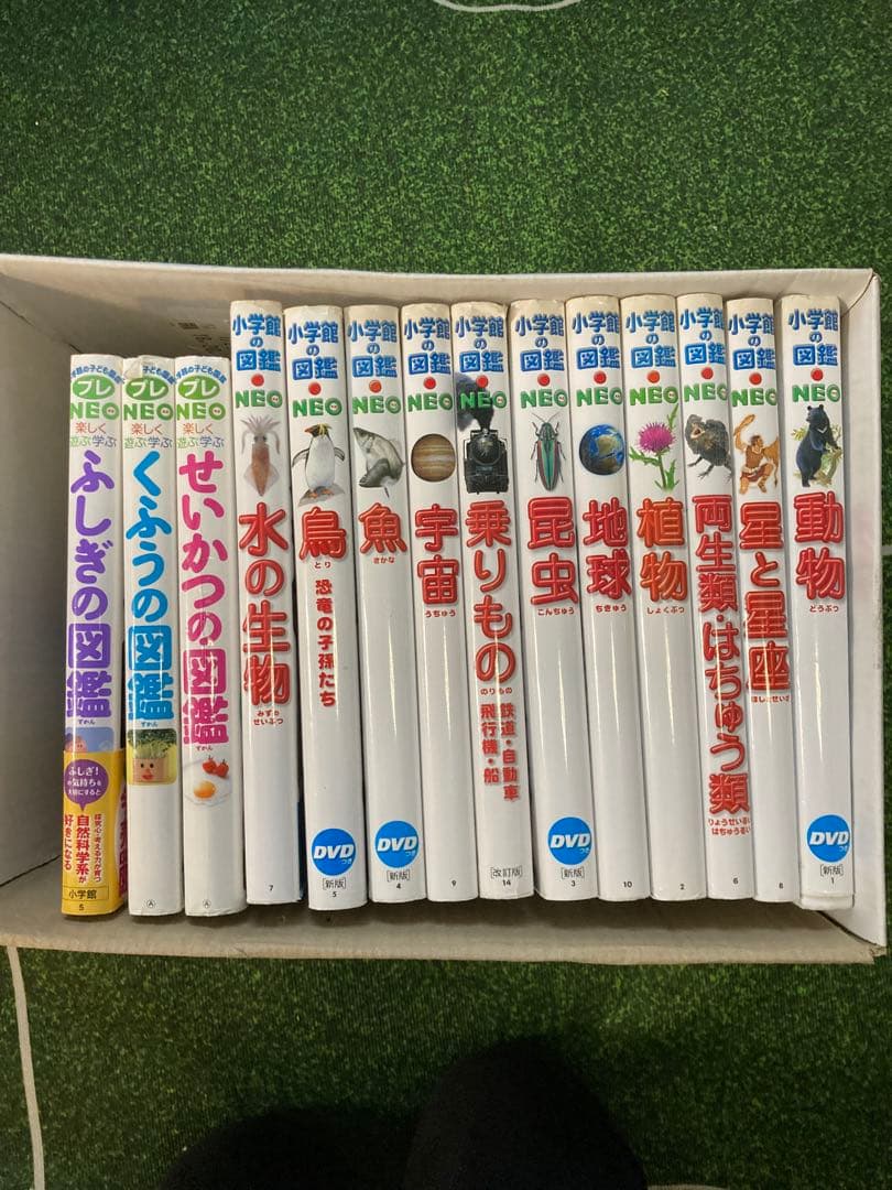 小学館 図鑑NEO 他図鑑14巻 セット まとめ売り おまけつき