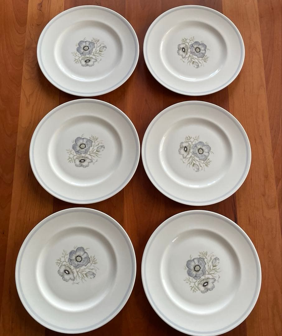 廃盤  グレンミスト 27cm 6枚セット 即購入ok