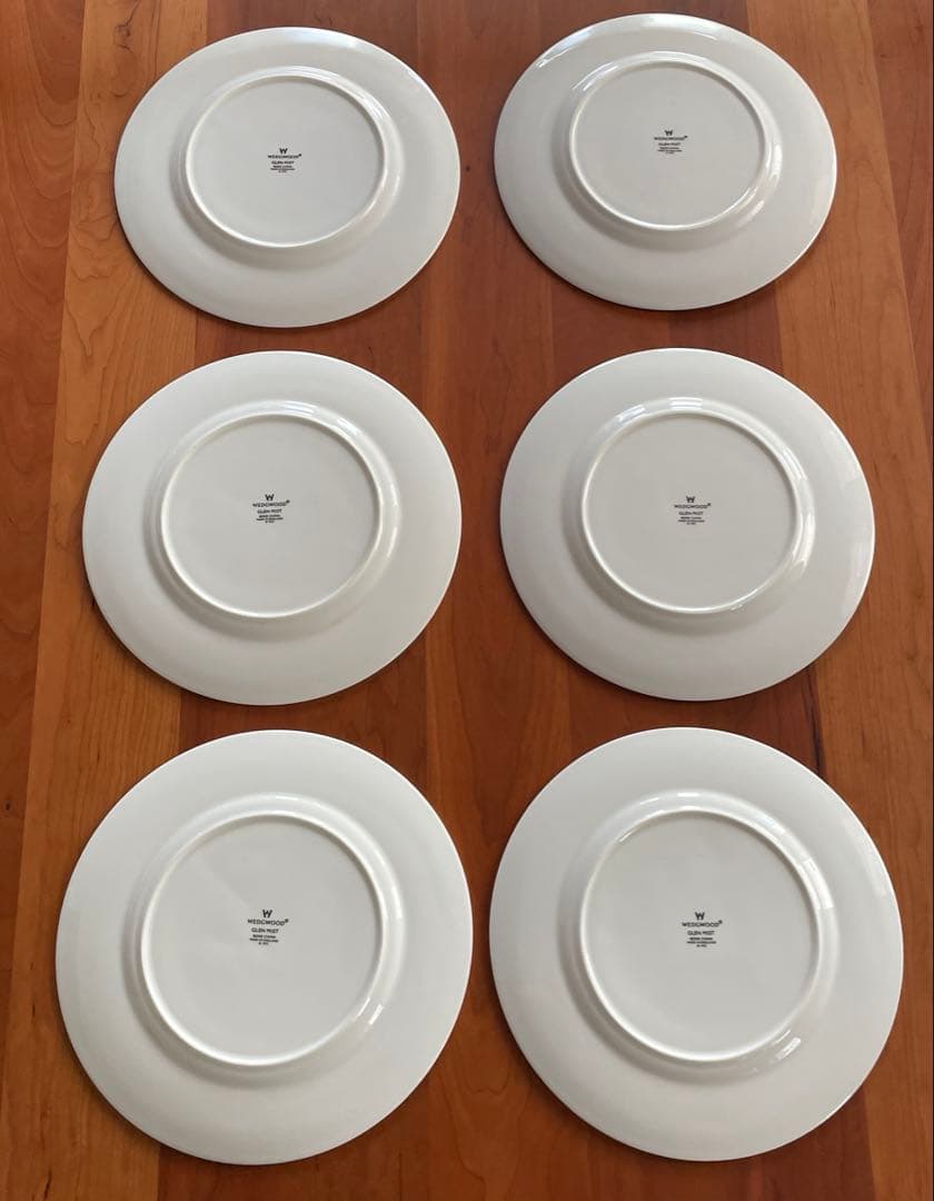 廃盤  グレンミスト 27cm 6枚セット 即購入ok