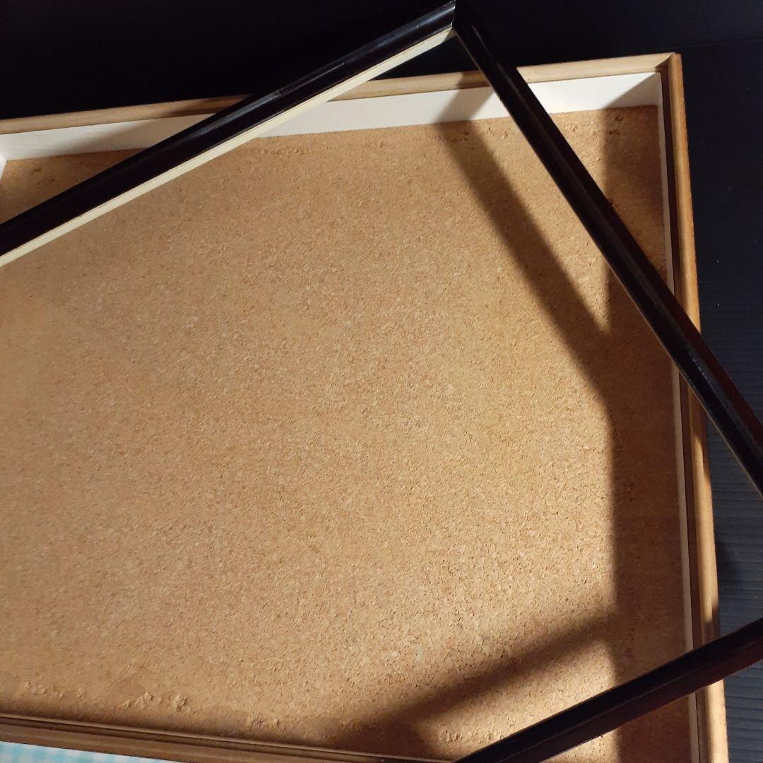 大型ドイツ標本箱(志賀昆虫普及社)、２箱セット