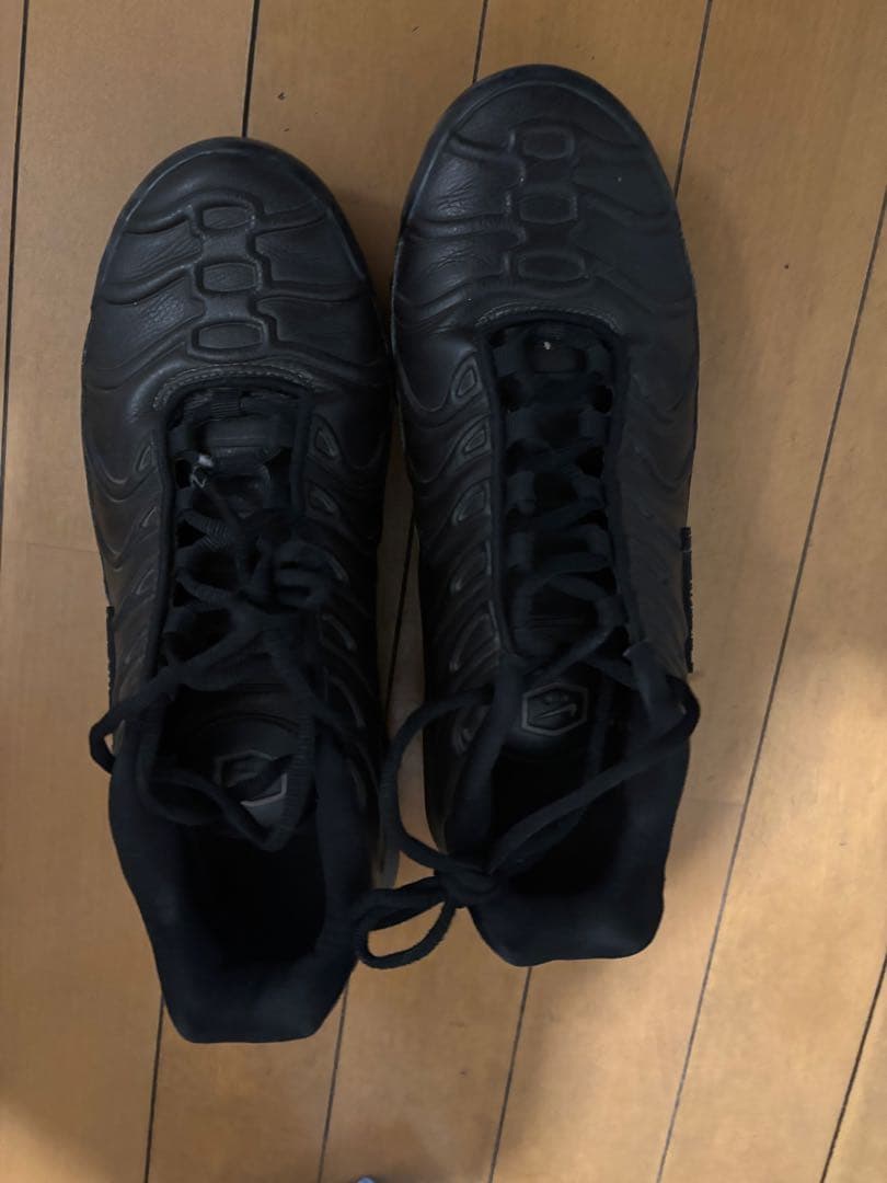 Nike Air Max Plus ナイキ　マップラ