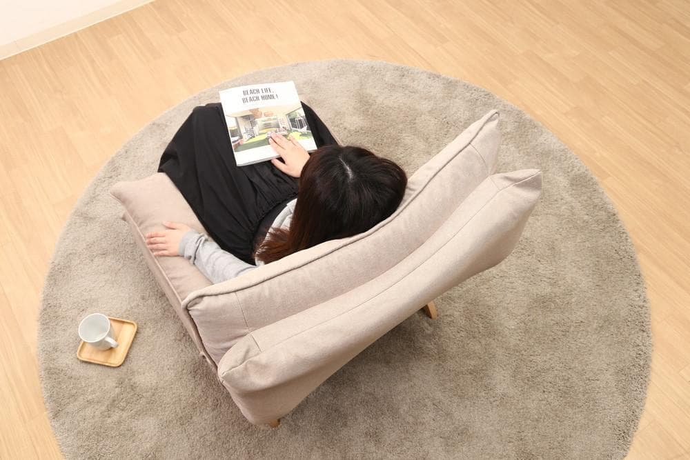 《新品・送料無料》ダブルクッション座椅子　フィット２　１Ｐ　ＢＥ