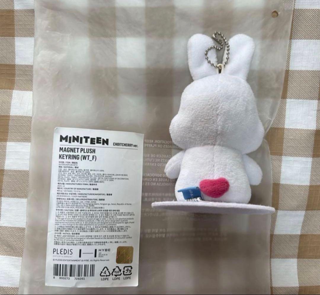 miniteen エスクプス マグネットキーリング