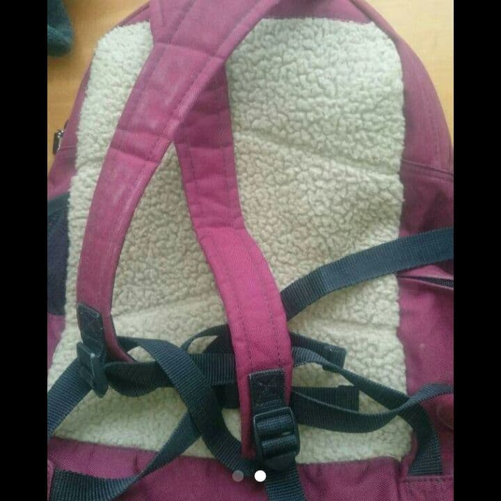 激レア！バートン廃盤BURTONボアデイパック