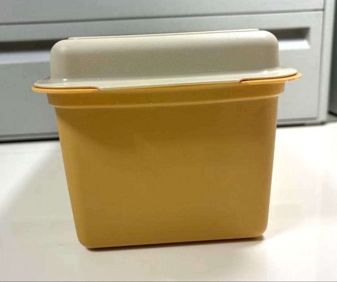 昭和レトロ入手困難希少激レア❤︎Tupperwareタッパーウェア❤︎パンケース大