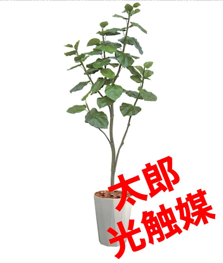 光触媒　人工観葉植物　ウォールグリーン　フェイクグリーン　ウンベラータ180