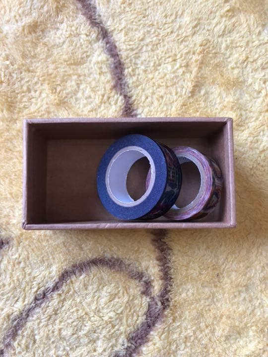 0313 マステ 2種セット