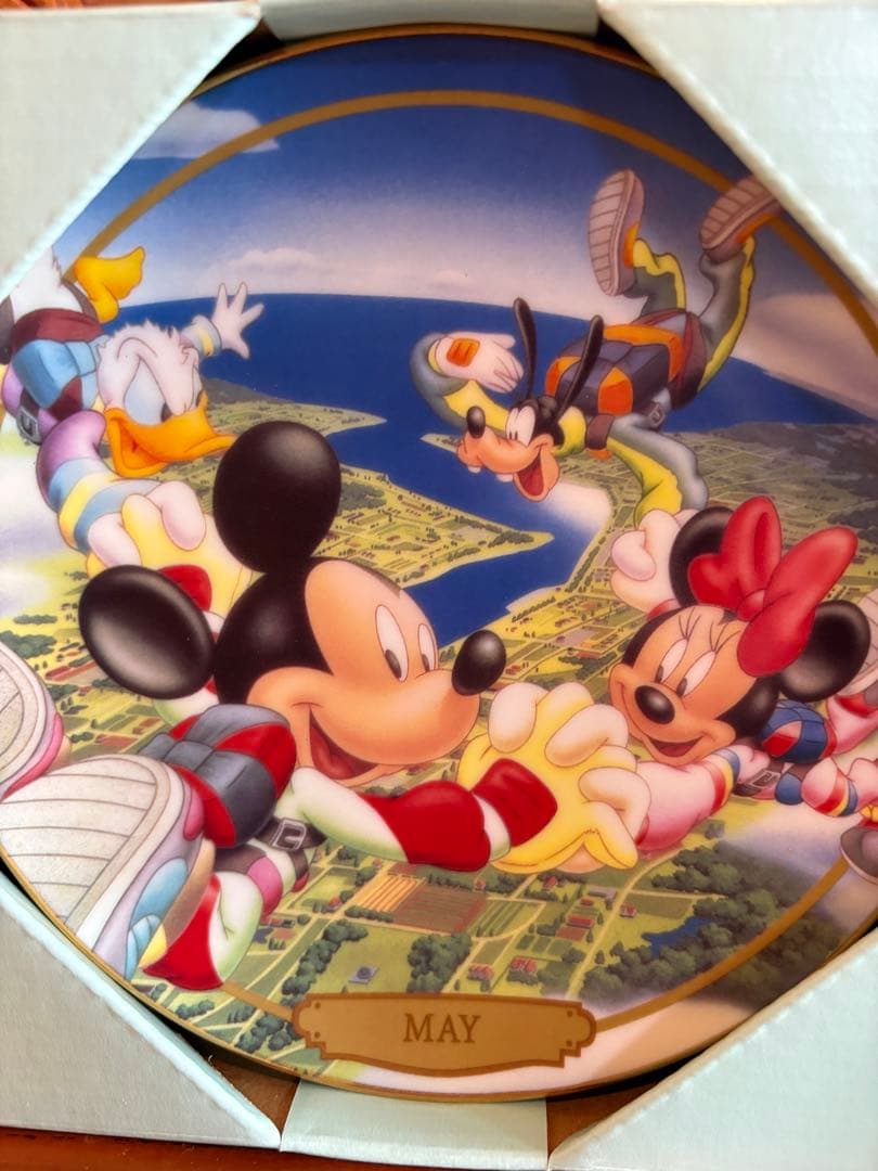 ディズニーマンスリープレート　皿　飾り皿　装飾