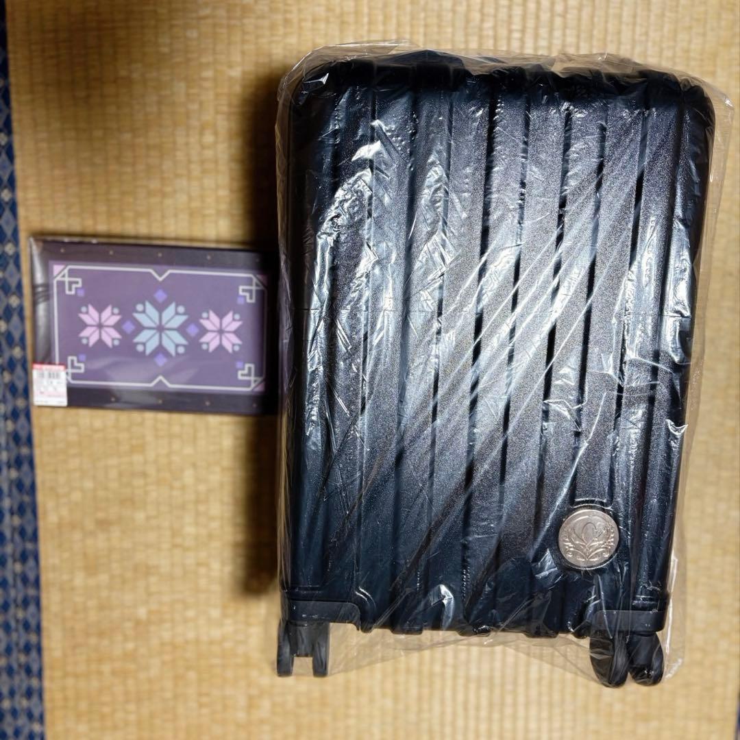 ちはるさんコラボ　エルサ　キャリーケース＆アクセサリーボックス