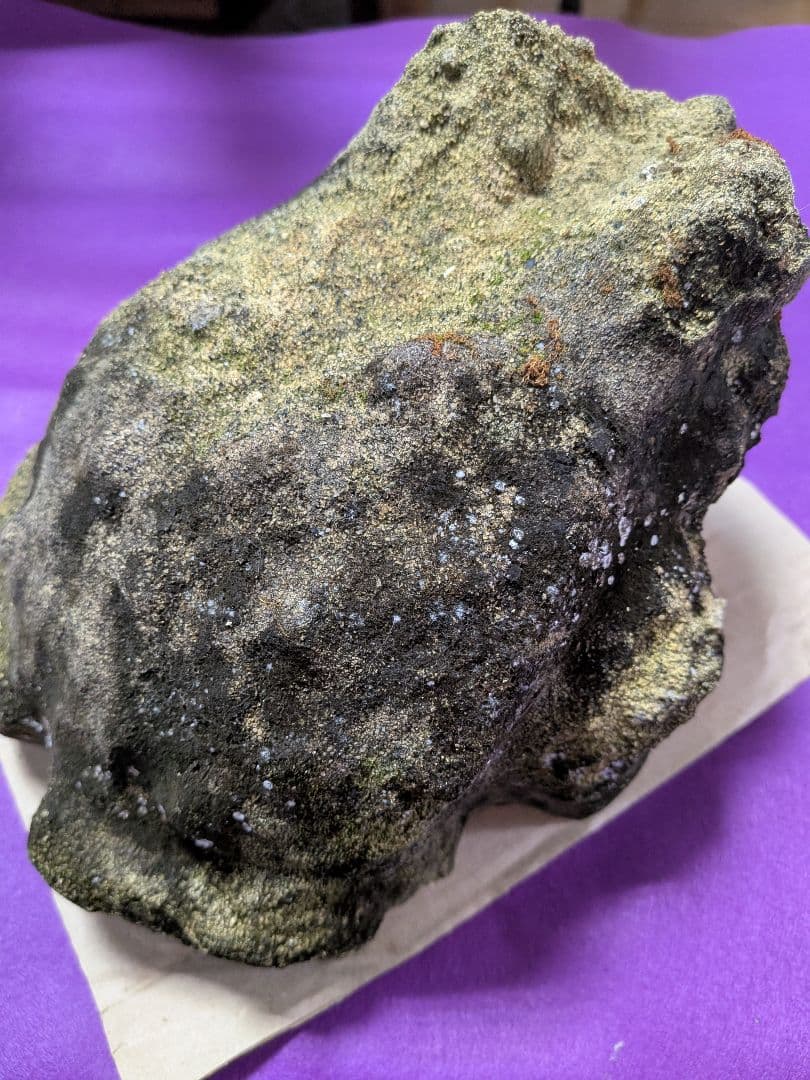 海外コレクター向き明治時代〜昭和戦前期頃蛙苔むした全長２３センチ重さ５キロ飾置物