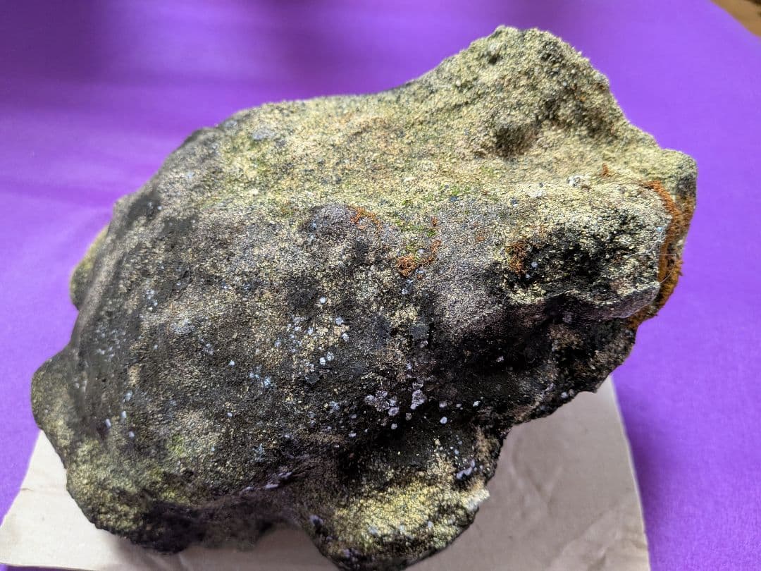 海外コレクター向き明治時代〜昭和戦前期頃蛙苔むした全長２３センチ重さ５キロ飾置物