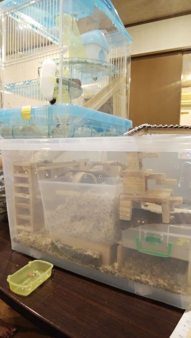 ハムスター用ケージセット　別荘　ワープゾーン　踏み台　隠れ場　アスレチック