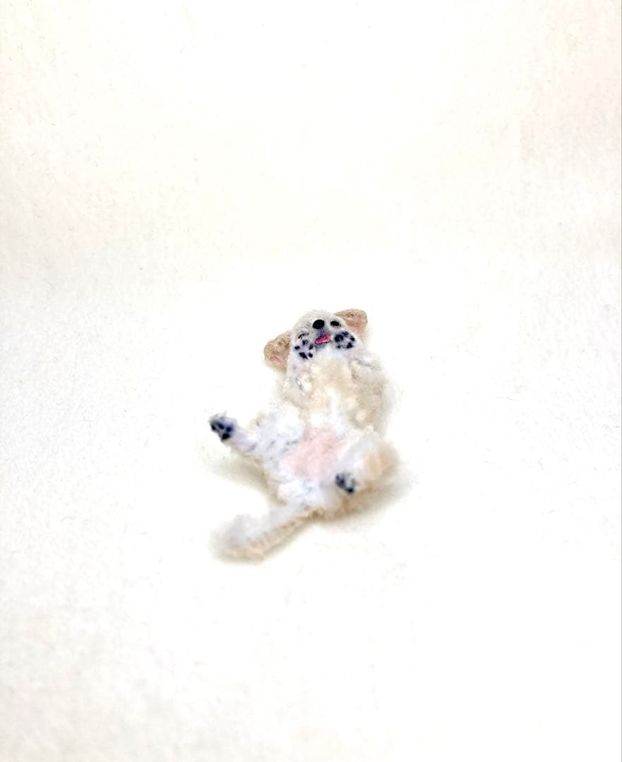 モールアート☆チワワ☆へそてん